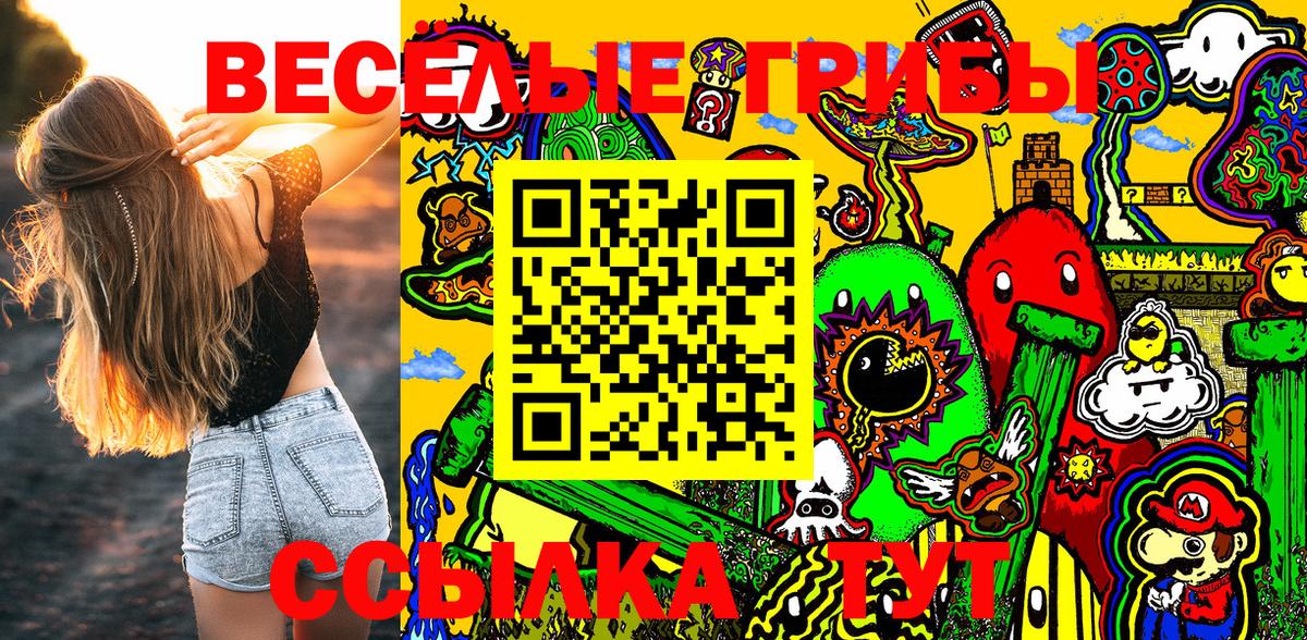 Галлюциногенные грибы GOLDEN TEACHER Екатеринбург