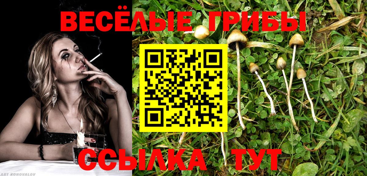 Псилоцибиновые грибы GOLDEN TEACHER  Вход с VPN  Псилоцибиновые грибы Cubensis  Екатеринбург 