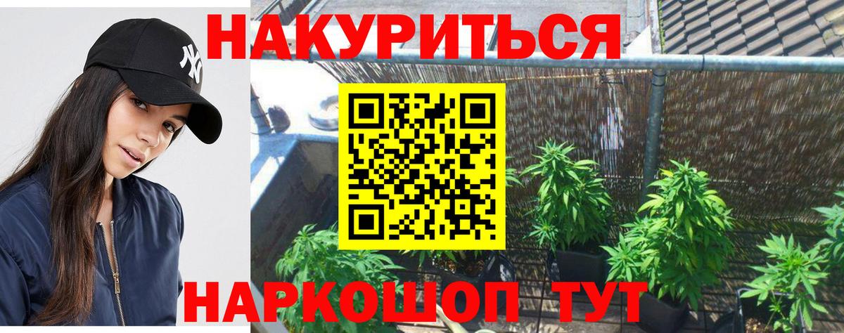 Шишки марихуана конопля  Вход с VPN  Марихуана Amnesia  МАРИХУАНА планчик  Екатеринбург  Марихуана LSD WEED 